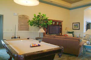 billiards,pool,game room,luxury,pflugerville,texas